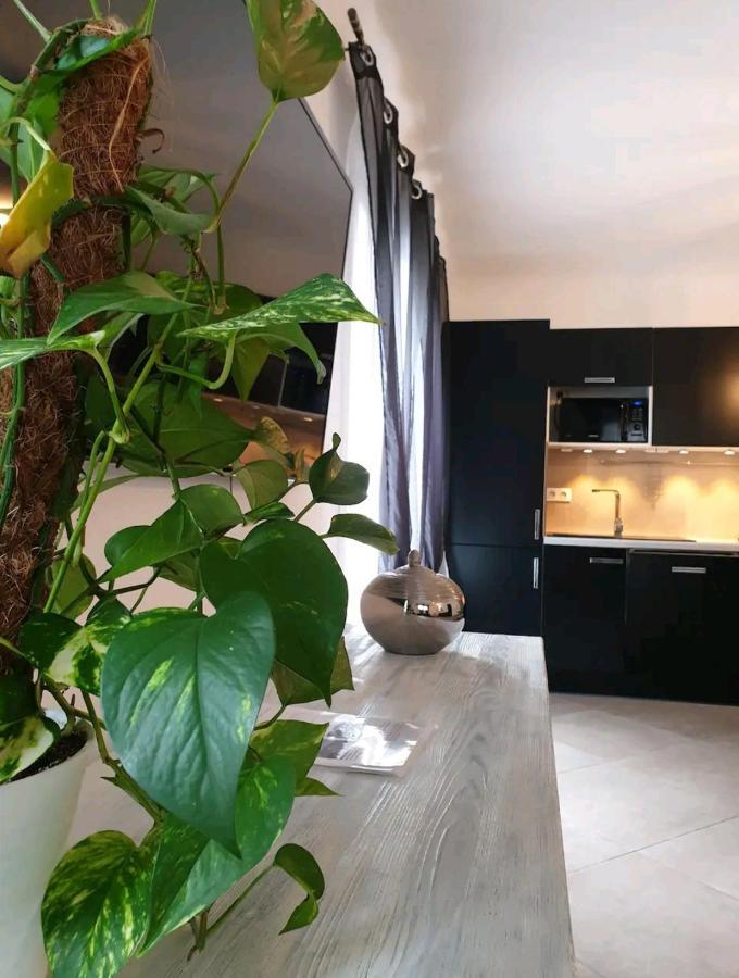 Pianotolinca - Centru Di Corsica Villa Moltifao ภายนอก รูปภาพ
